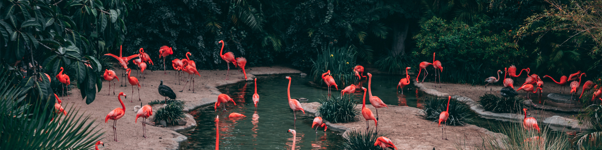 山西君湘国际旅行社有限公司驻马店营业网点  